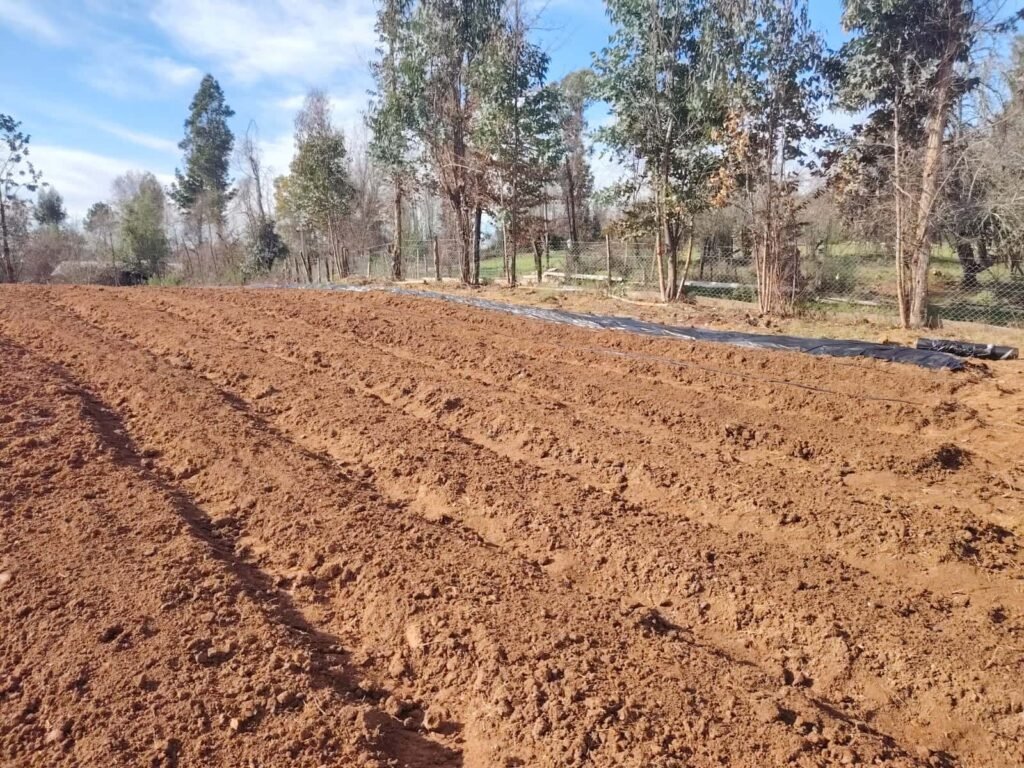 Imagen inicios de nuestra empresa